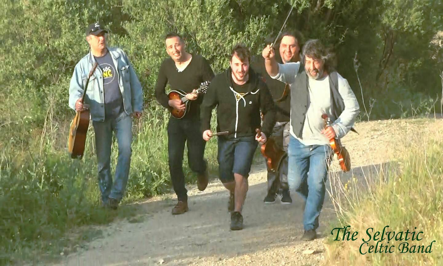 Image The selvatic celtic band