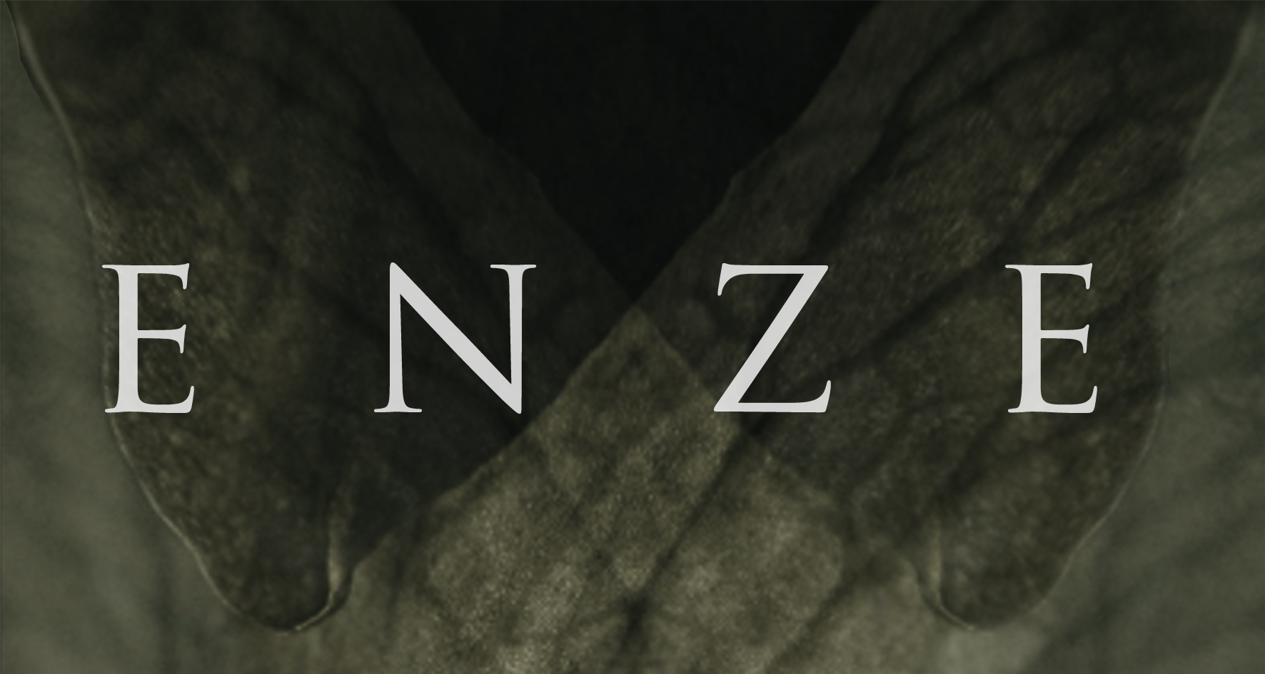 Image ENZE