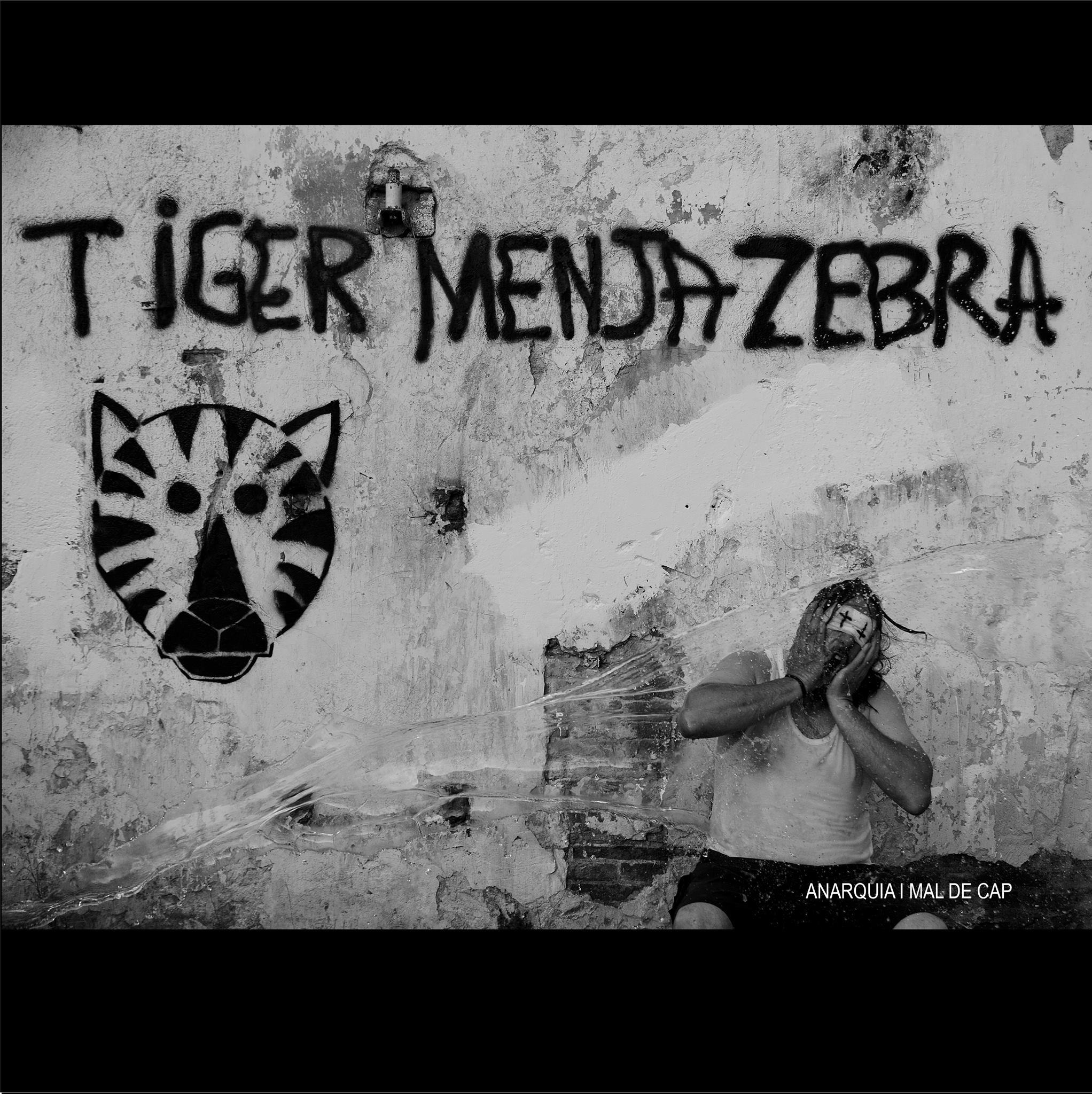 Image Tiger Menja Zebra