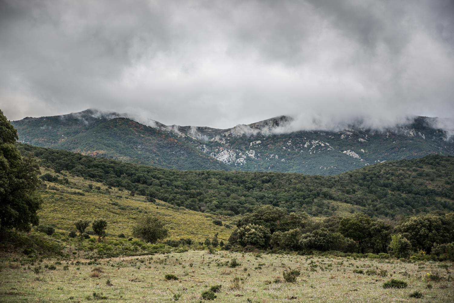 Image Joanjo BOSK