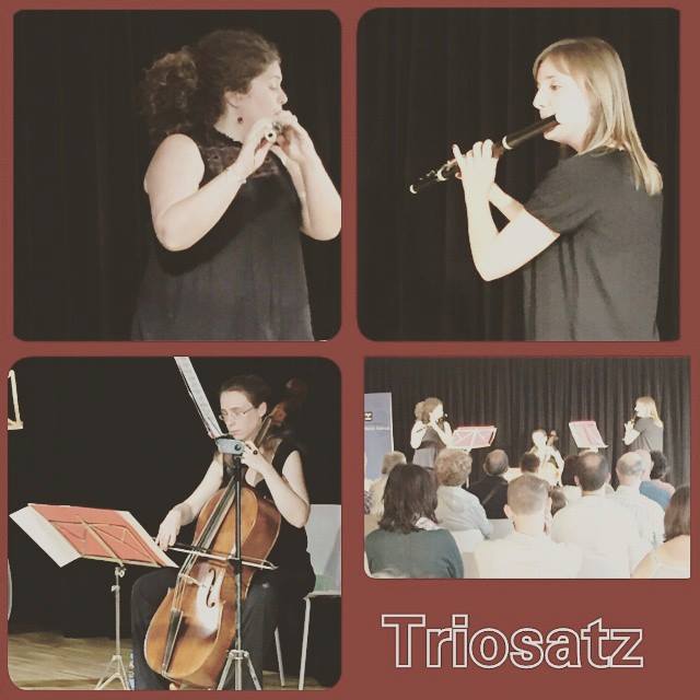 Logo Triosatz