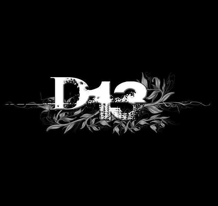 Logo D13