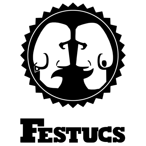 Logo Festucs