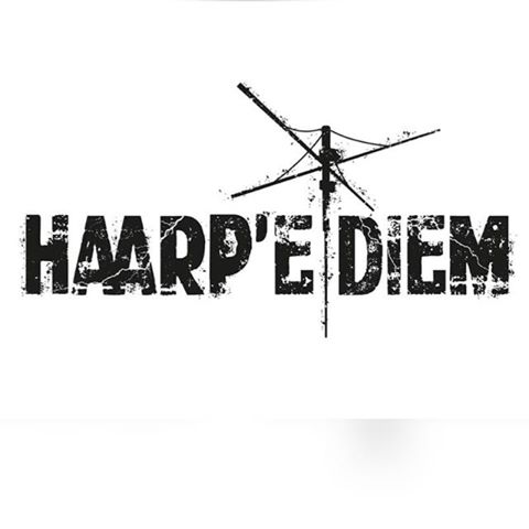 Logo Haarp'e'Diem